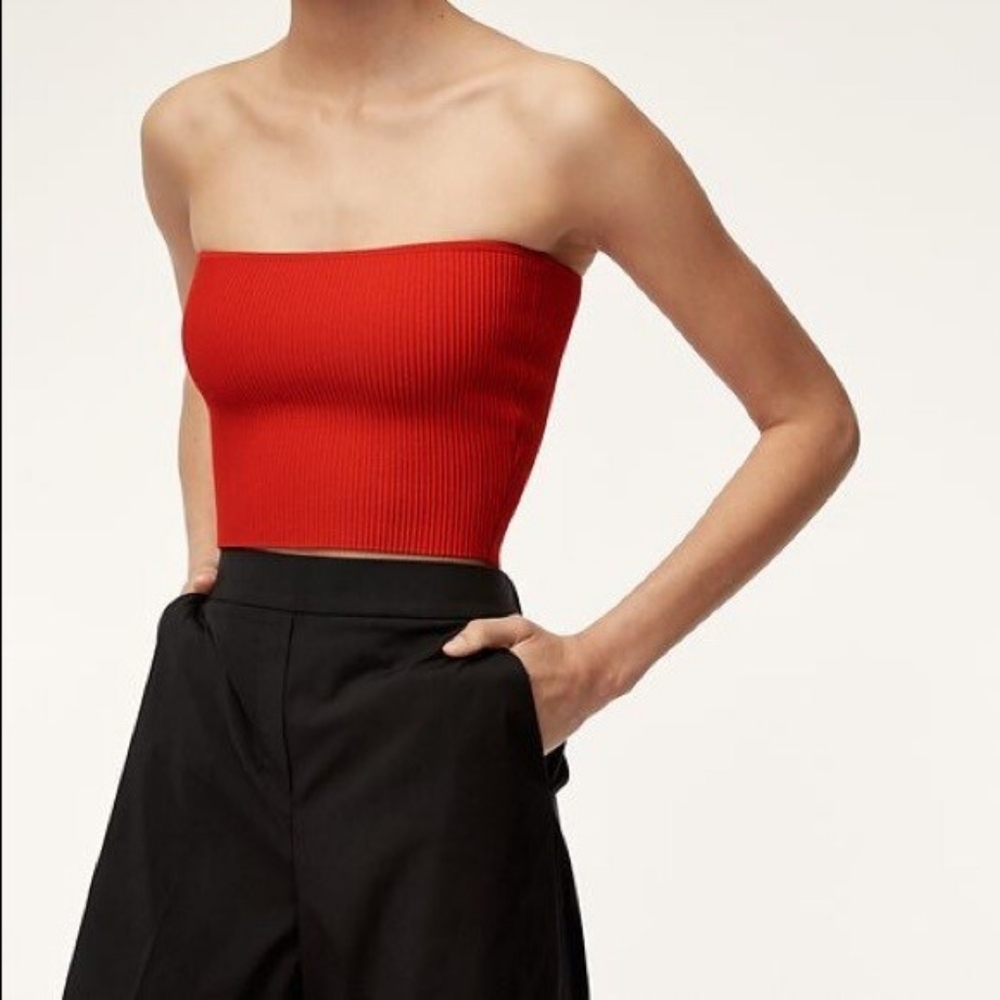 aritzia x Babaton striped tube top